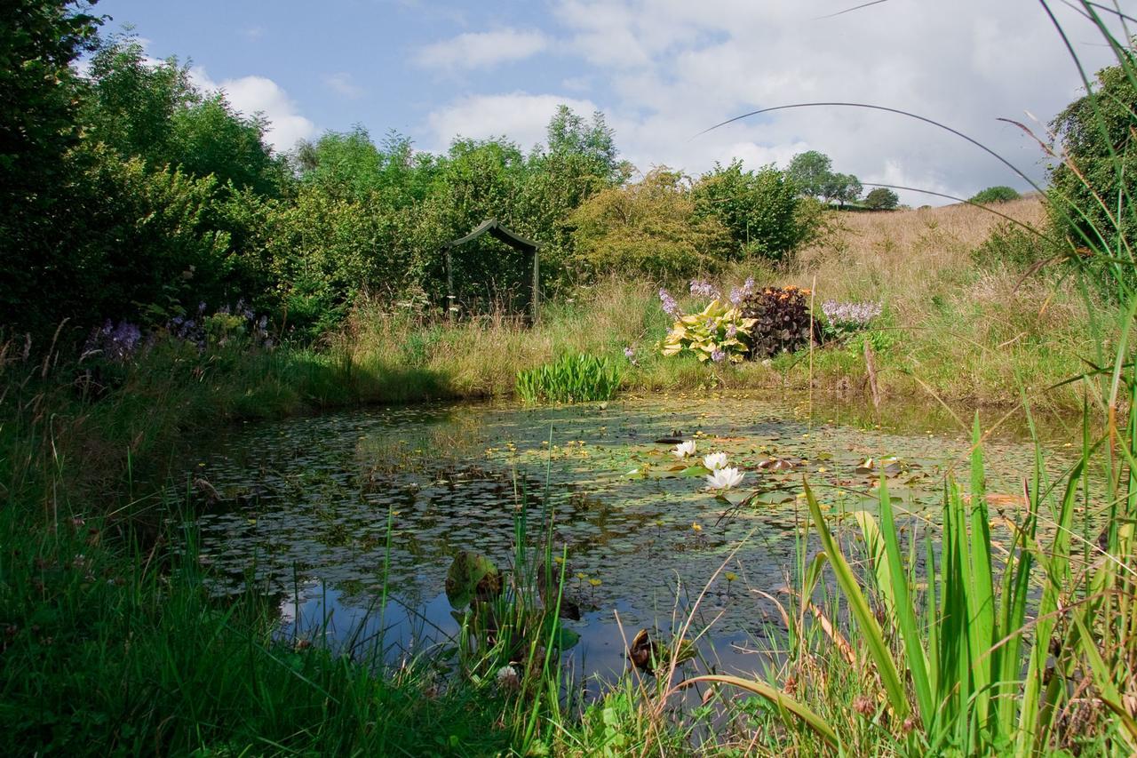 Ghyll Farm B & B Lamplugh Εξωτερικό φωτογραφία